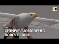 Chinese biomorphic robotic bird