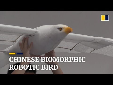 Chinese biomorphic robotic bird