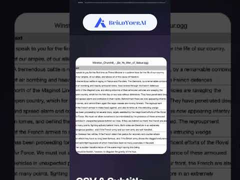 Plainscribe: Effortless Transcription, Translation, and Summarization of Media Files