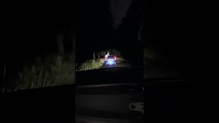 Ghost at top of car