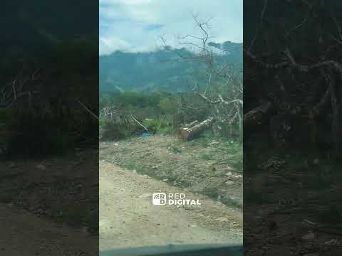 Este es el desolador panorama en la salida de Paujil a Cartagena en #caquetá . Talaron los árboles