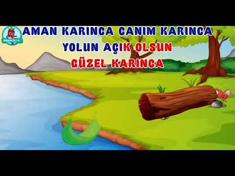 Hacca giden karınca