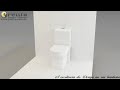 Miniatura vídeo do produto Kit Vaso Monobloco Safira Pettra - Pettra - PB3621 - Unitário