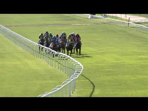 2021.06.13. 08. futam - SILVER FROST HENDIKEP (III.o.)