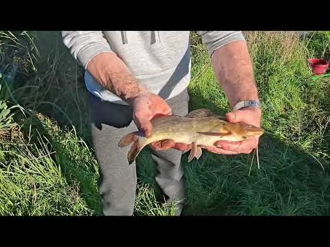 UNA TARDE DE PESCA - ARROYO ITAPEBÍ