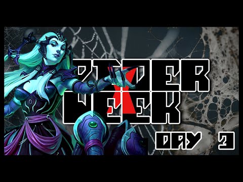 SPIDER WEEK: I FELL IN LOVE WITH A SPIDER