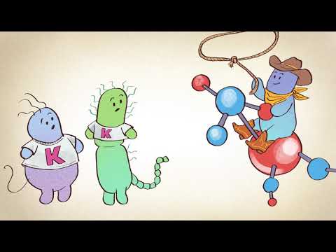 Fermented Science | Kefir Grains | Season 3 Episode 5