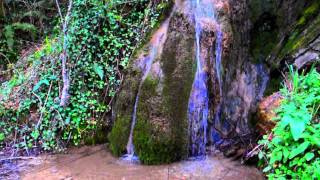 Leonard Cohen-The Faith