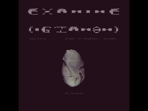 examine-mix-17-w-dj-§piral-2021-09-02