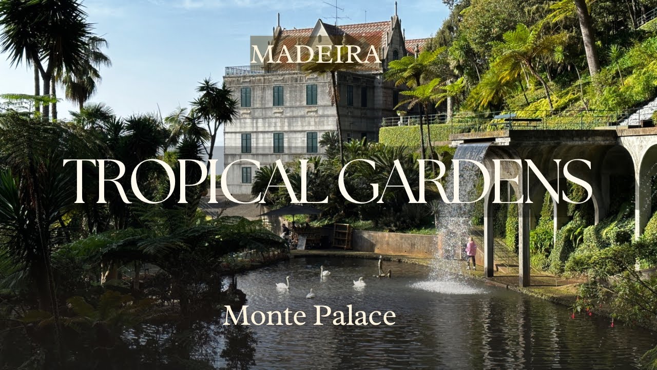 Experience a virtual tour of Monte Palace Tropical Garden.