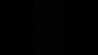 Download lagu ku hanya sayang padamu cover mp3 Download lagu ku hanya sayang padamu cover mp3