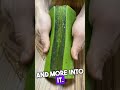 Embarrassing Sex Stories Reddit Redditstories Comedy