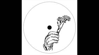 Beau Wanzer - Shock Therapy