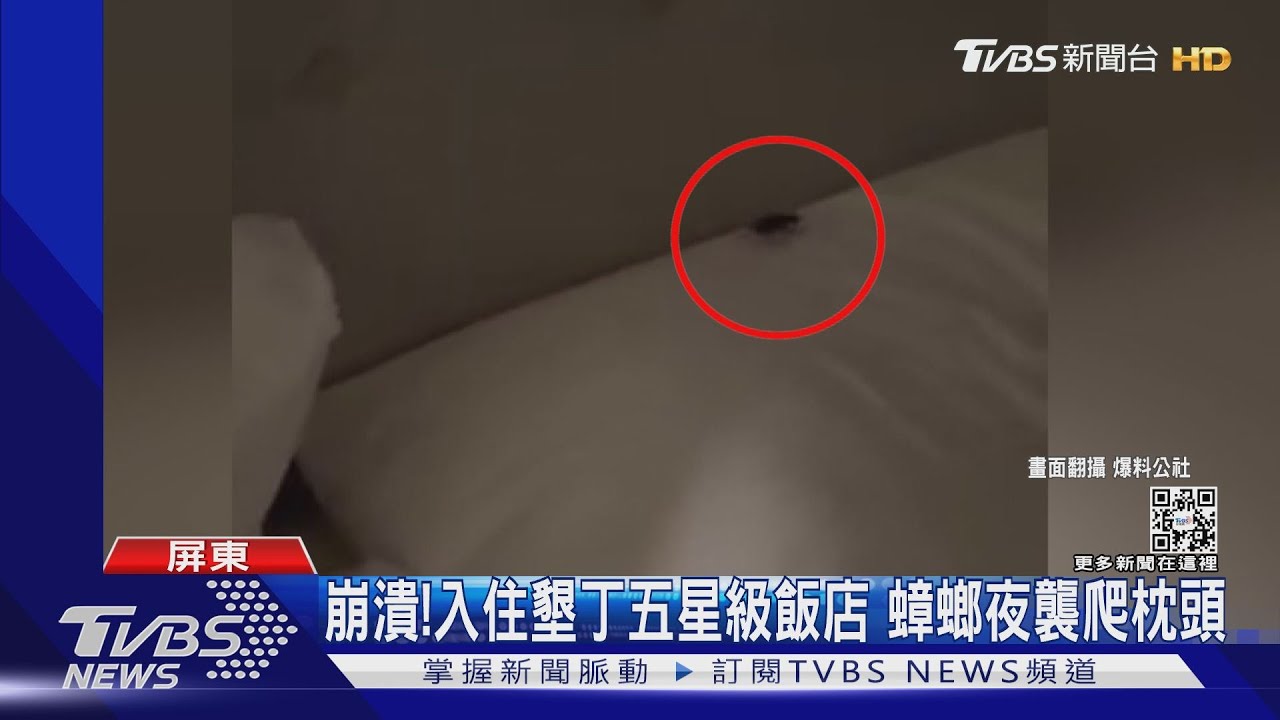 崩潰!一家四口入住墾丁五星級飯店 蟑螂夜襲爬枕頭