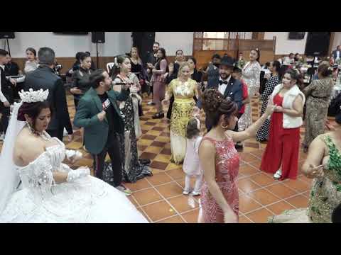 Copilul de Aur & Alex Kojo - Nunta Sorin & Luminita - Nasi Plopu si Nuca