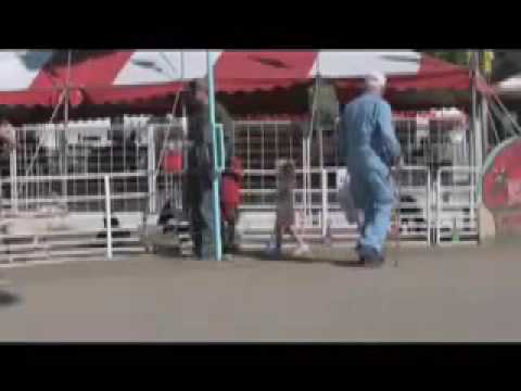 Petting Zoos And Their Risks