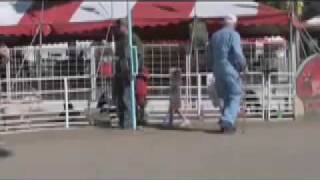 Petting Zoos and their risks