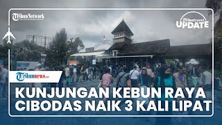 Kunjungan di Wisata Kebun Raya Cibodas Naik 3 Kali Lipat saat Libur Lebaran Idulfitri 1443 H