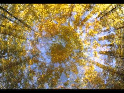 DJ SGZ & Table Dace Feat. Ame Sucre - Changes - Preview