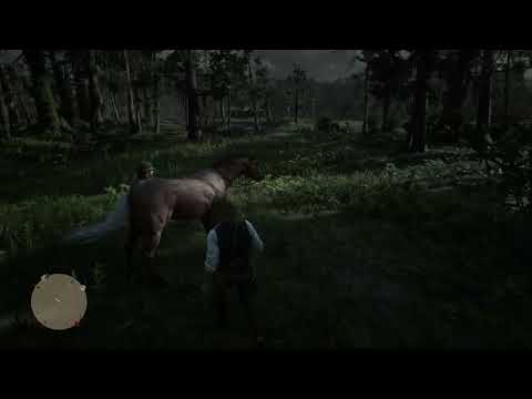 Red Dead Redemption 2_20240624100305