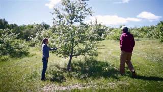 Bear Swamp Cider 062016