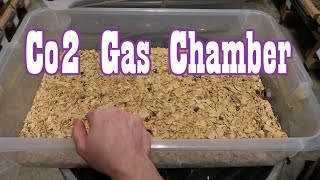 How to Euthanize Rodents for Snake Food