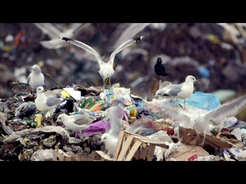 Saving My Tomorrow: Kids Who Love the Earth: Promo (HBO Documentary Films)