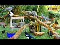 Cat TV for Cats to Watch 😸 Birds & Squirrels in the Garden 🕊️🐿️ Bird videos for cats