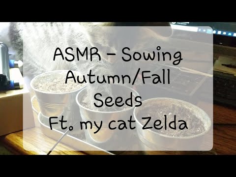 ASMR - Sowing Autumn/Fall Seeds Ft. my cat Zelda [Whisper] [Low Voice] [Relaxing] [Gardening]
