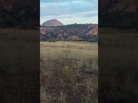 Looking torwards Zion NP from Kolob Terrace Rd