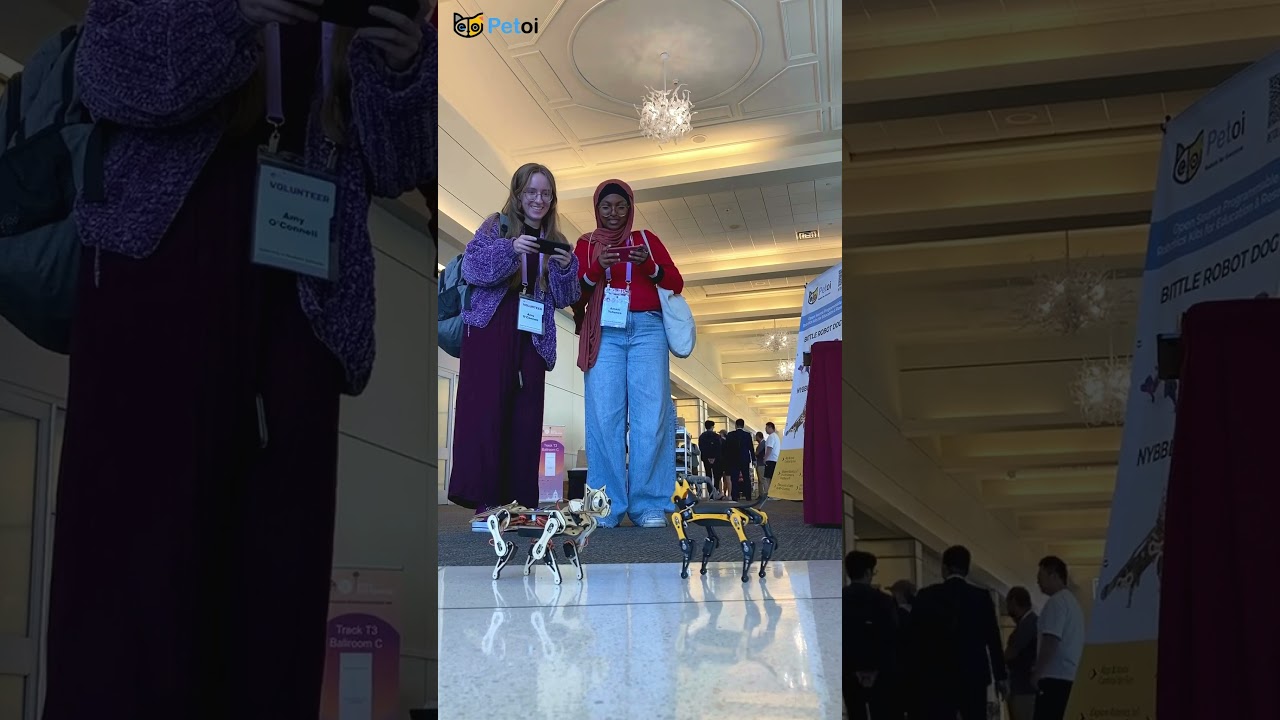 Humanoid, Robot Dog, Robot Cat & Human Interaction at IEEE ROAMN 2024 Conference