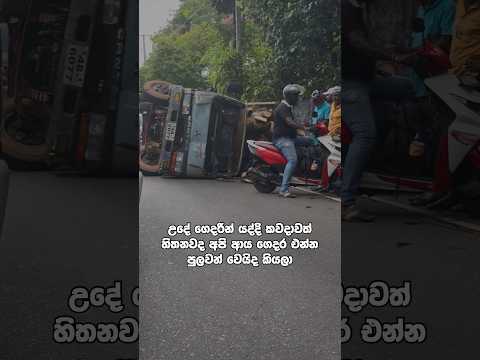 බුදුන් වැඳලා නිවසෙන් පිටවෙන්න... #viralshorts