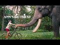 Appu's Big Friend | Kerala Tourism