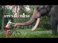 Appu S Big Friend Kerala Tourism