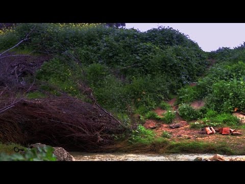 Infected Mushroom - I Wish (Cover By Yam Barak & Ishai Ben Rafael Hirschler)