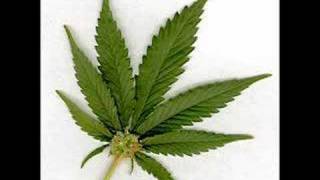 Thugs Want to get high