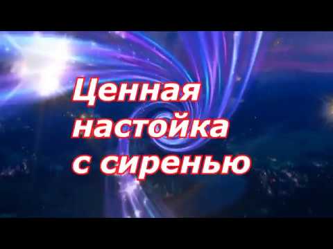 Дисплазия тазобедренного сустава бульмастиф Боль в пояснице отдает в ключицу