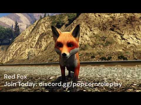 Red Fox - Addon Animal Ped - FiveM Releases - Cfx Forum