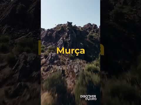 Chegar às Terras de Murça é mais fácil do que partir...