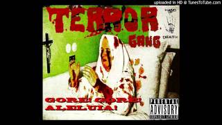 T.E.R.R.O.R Gang - Smokillah a weed