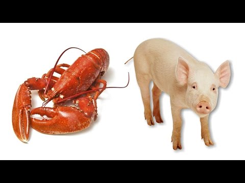 Na maaari mong maghanda ng almusal para sa pagbaba ng timbang Magluto sa isang double boiler para sa slimming