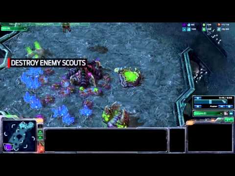 StarCraft II Protip - Baneling Bust vs. Protoss