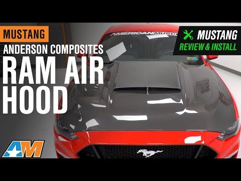 2018-2019 Mustang GT & EcoBoost Anderson Composites Ram Air Carbon Fiber Hood Review & Install