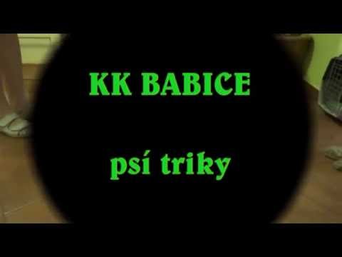 Video Kynologický klub Babice - triky1