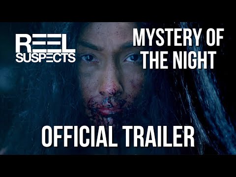 afbeelding Mystery of the Night