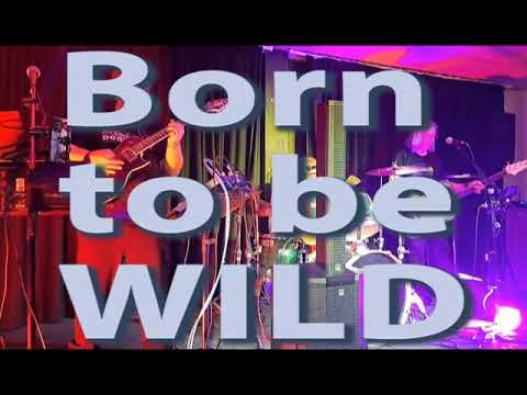 Born to be Wild with Doghouse