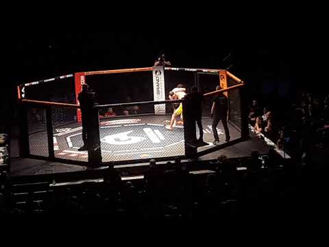 MMA WE love MMA BERLIN K.O (round 1)