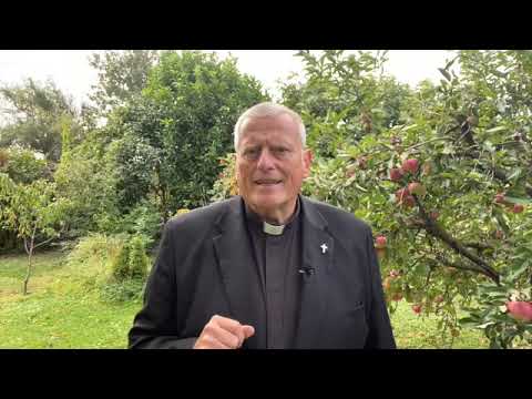 Unermüdliches Beten! - Geistlicher Impuls 16. Oktober 2022