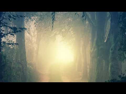 Grup Mesia - Tu esti iubirea