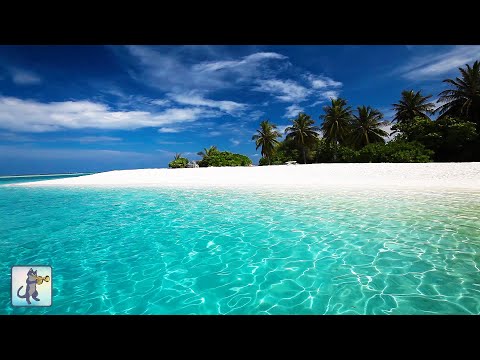 Breathtaking Beaches ???? Amazing Nature Scenery & The Best Relax Music